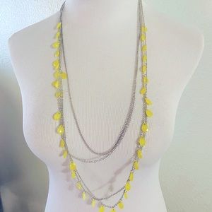 Paparazzi Long Necklace & Earring Set